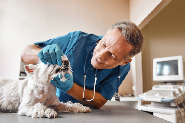 Best Emergency Wisdom Teeth Removal in Dalworthington Gardens, TX